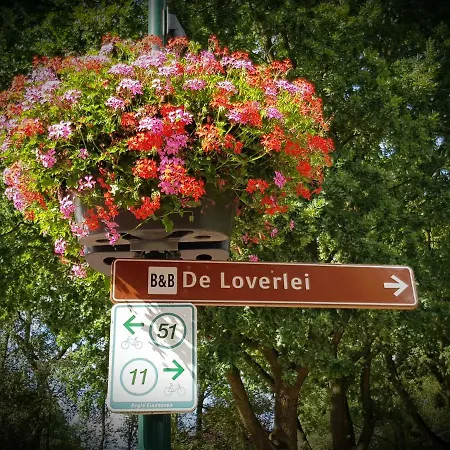 De Loverlei Dom wakacyjny